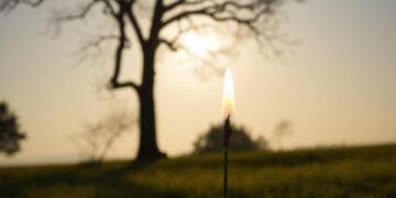 how to keep your fire lit in a noisy world